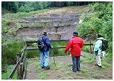 Am Eckfelder Trockenmaar (Fundort des Urpferdchens)